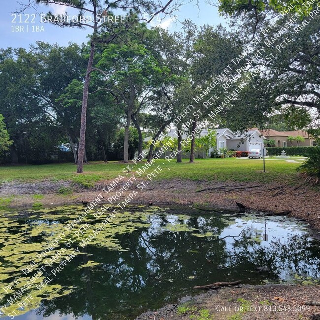 Building Photo - CLEARWATER CONDO AVAILABLE FOR IMMEDIATE M...