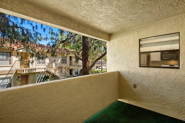 Patio with Turf - 10313 Azuaga St