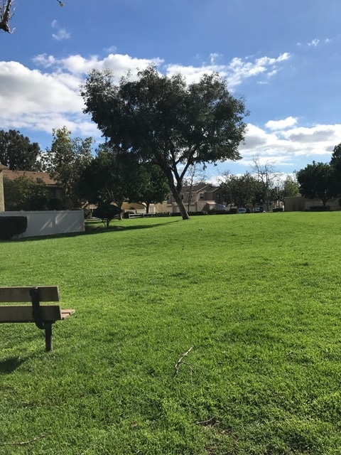 Grassy greenbelt area - 13611 Sycamore Tree Lane