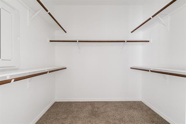 Building Photo - 10604 Thunderwood Dr