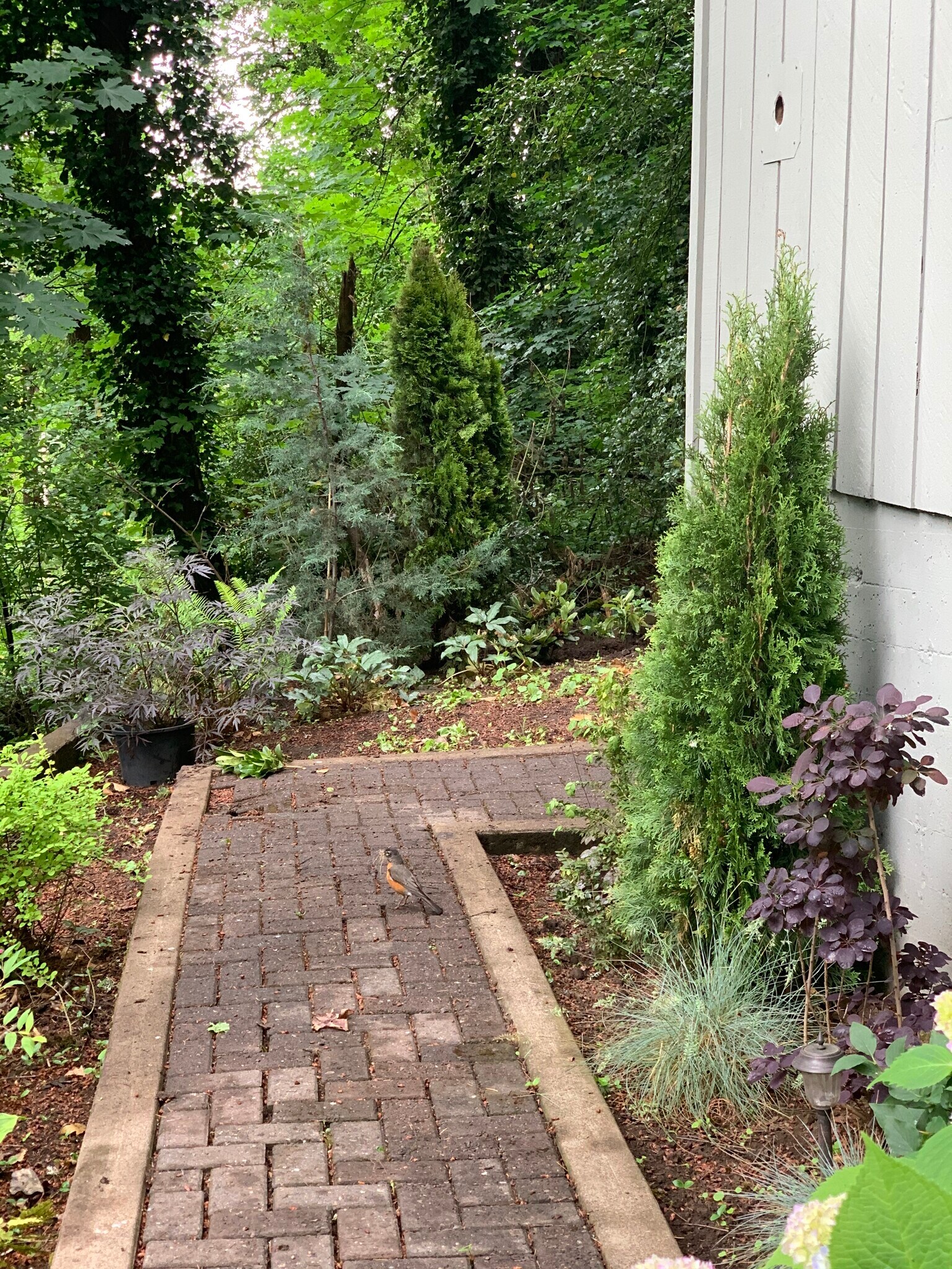 Building Photo - 2401 Birch Ln