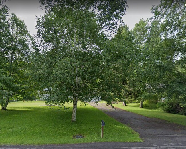 Gorgeous birches on front lawn - 1694 E River Rd