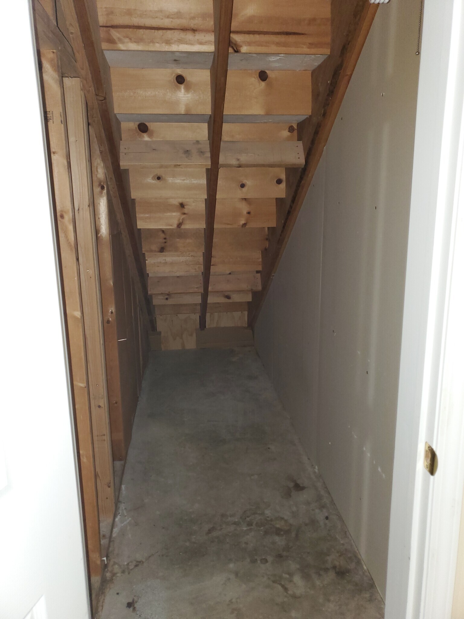 More Basement Storage - 5328 Godas Cir
