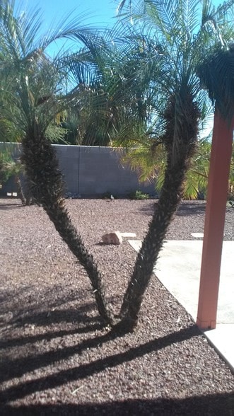 Building Photo - 1671 N Garrett Dr