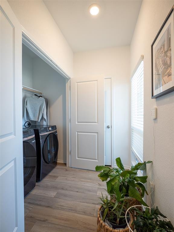 Building Photo - 15601 Poppy Petal Dr