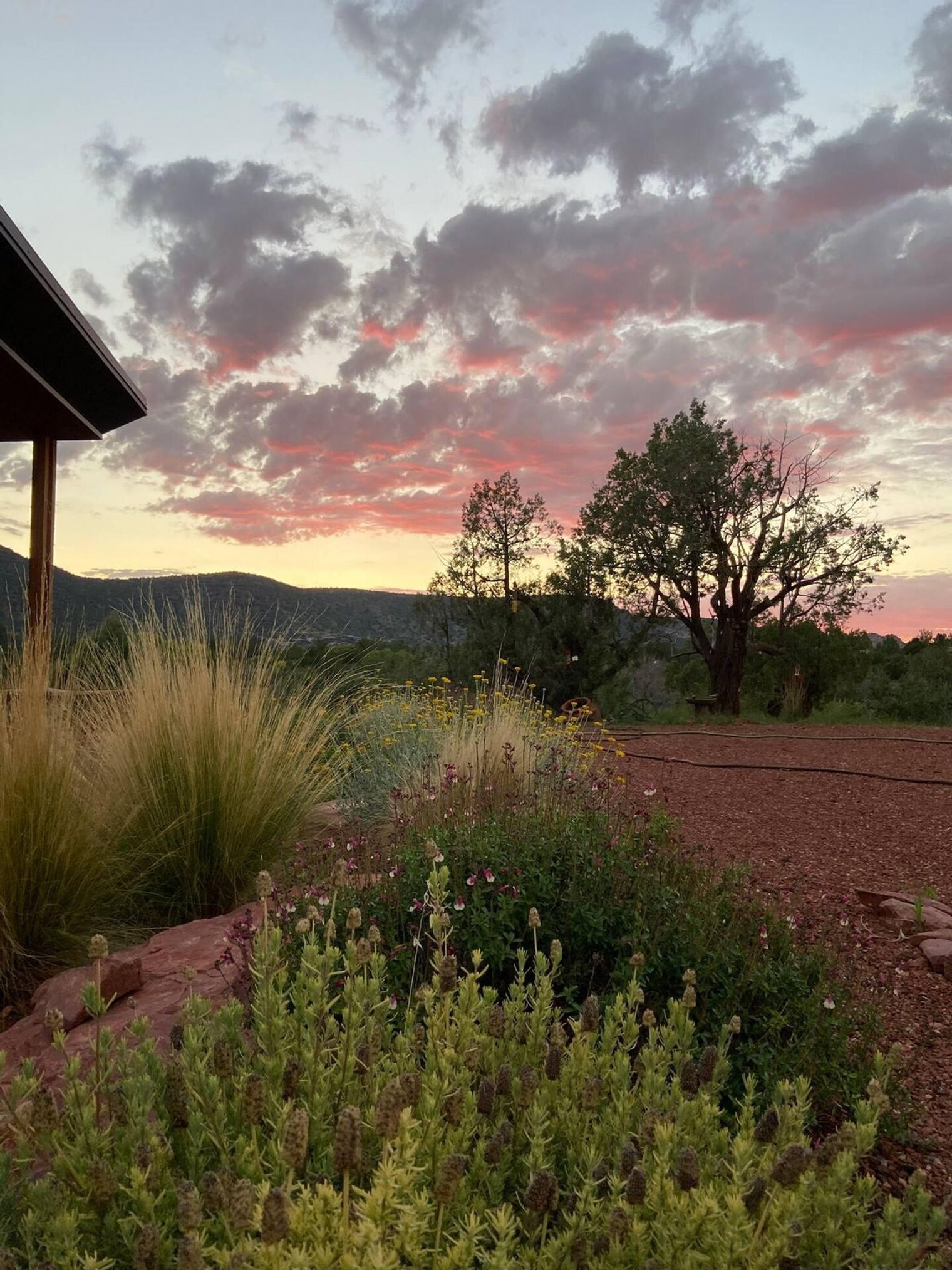 Building Photo - 105 Rojo Dr