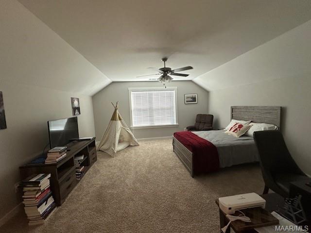 Building Photo - 507 Privet Ct