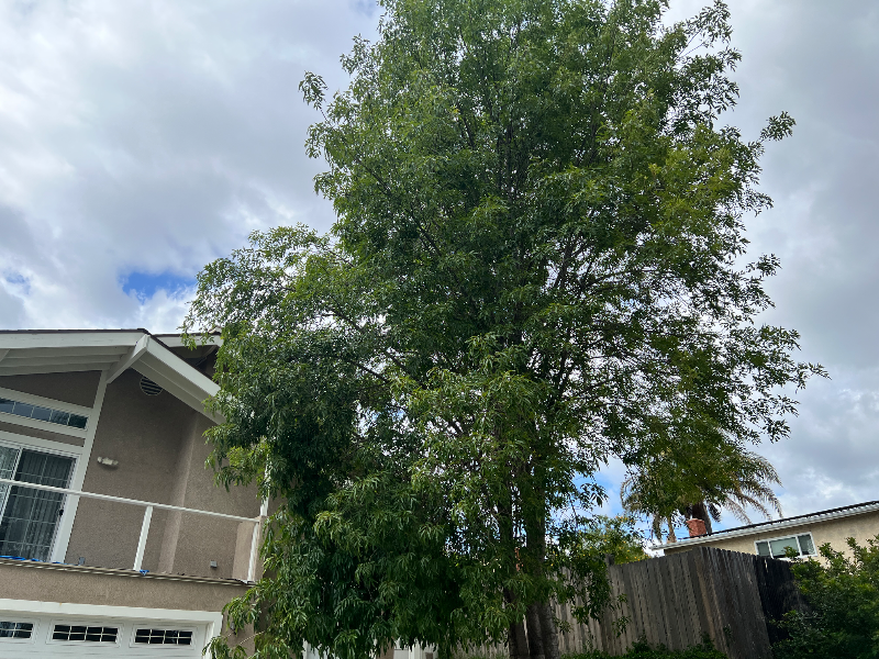 Building Photo - 885 Masterson Dr