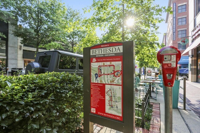 Building Photo - Gorgeous 2/2 with luxurious Lobby Level Condo in Hampden Row