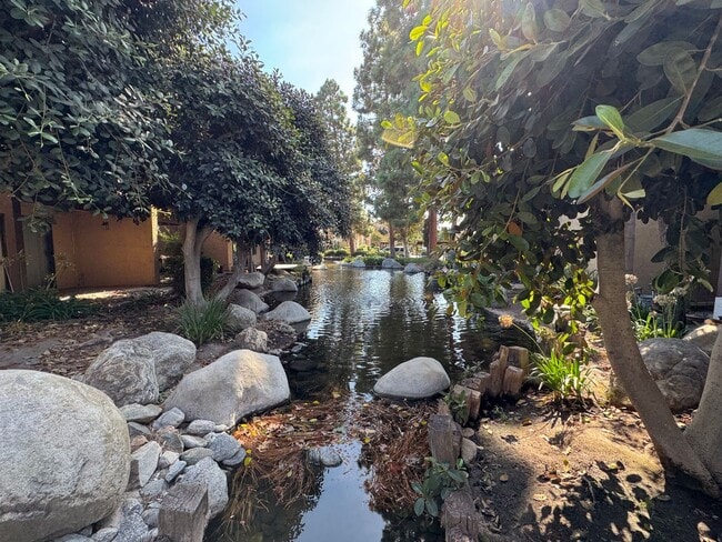Building Photo - Beautiful 1Bd/1Ba Condo Overlooking Stream...