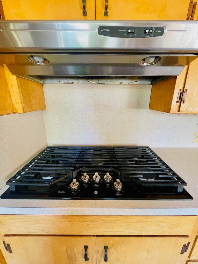 Building Photo - 1121 W Churchill St