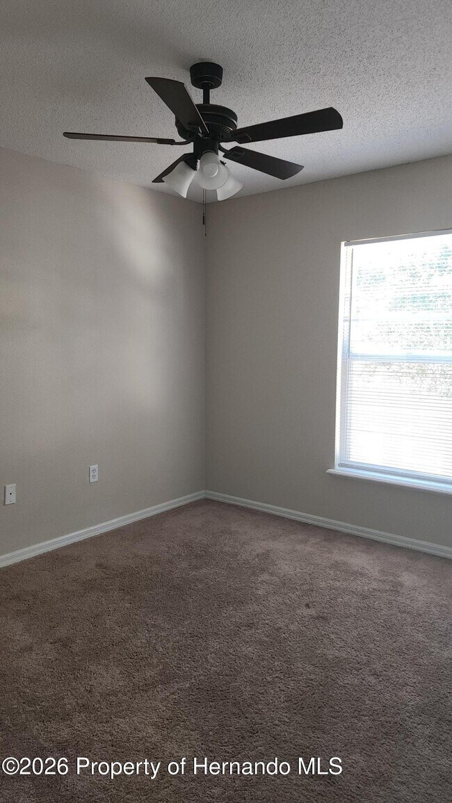 Building Photo - 11228 Roman St