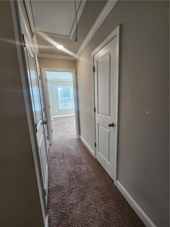 Building Photo - 187 Plaza Park Walk