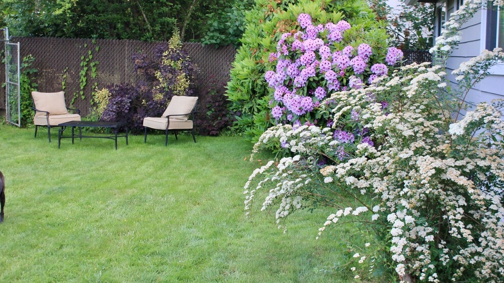 Back Yard - 1103 Brawne Avenue NW