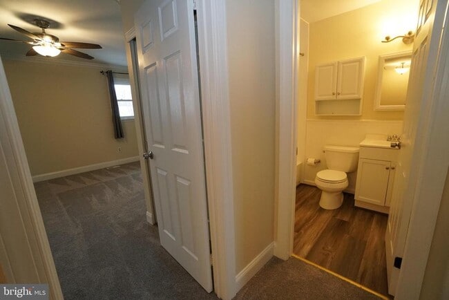 Building Photo - 915 Arch St