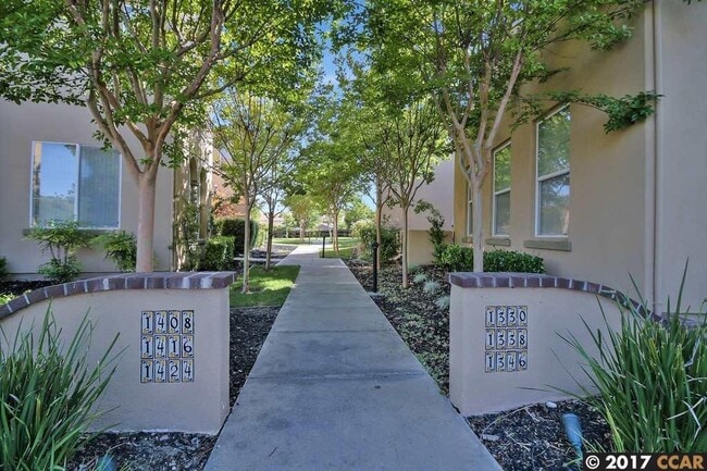 Building Photo - $3,990 - 4 BR - GORGEOUS SAN RAMON HOME IN...