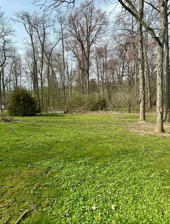 Building Photo - 3 Bedroom 1.5 bath Country Setting Home