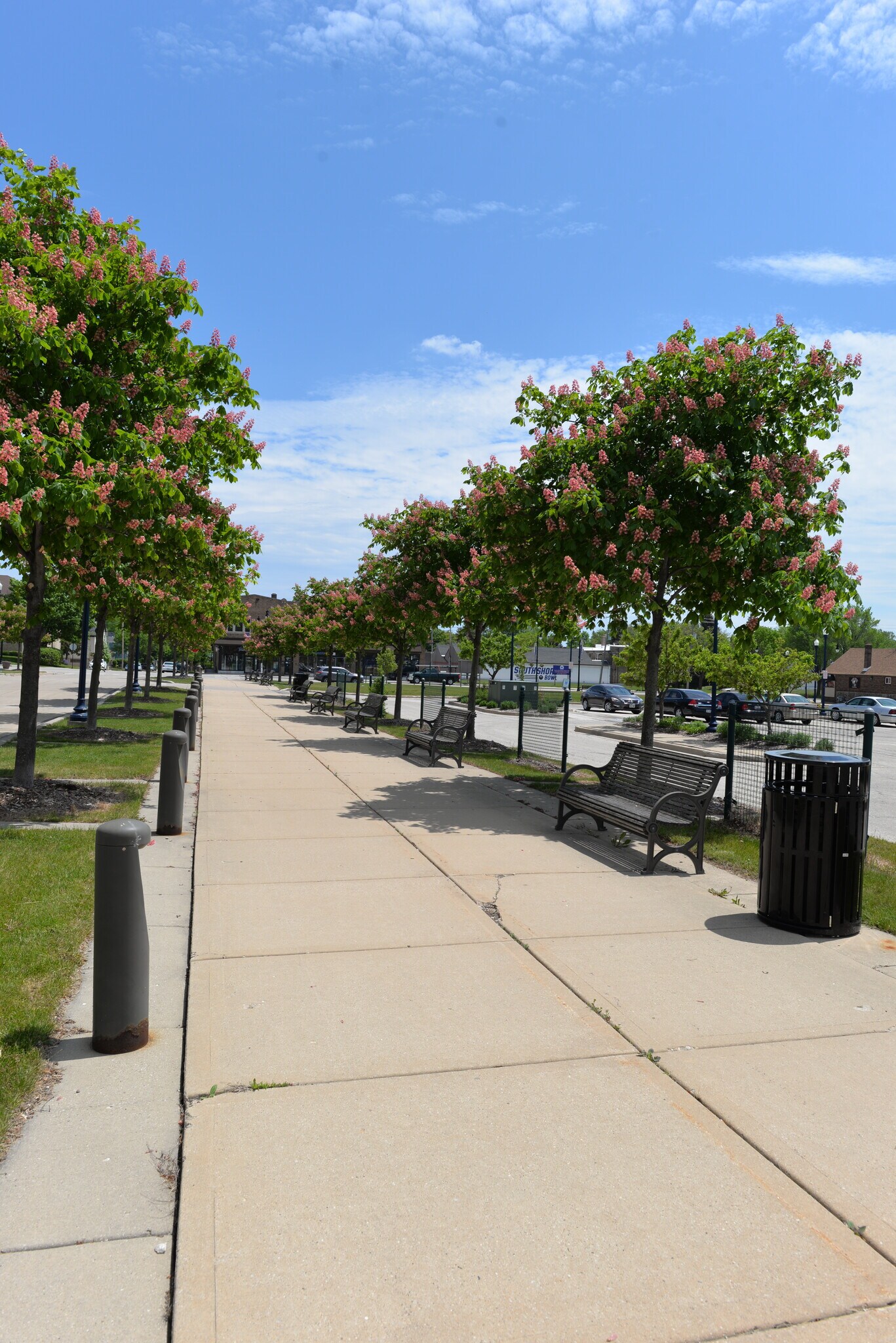 Building Photo - 3540 Library Dr