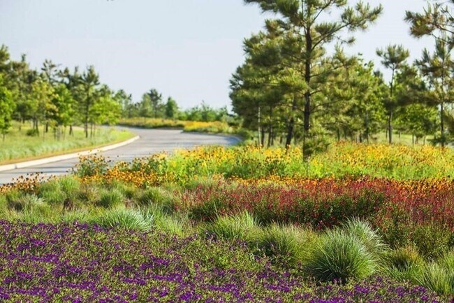 Building Photo - 4203 Chloe Ridge Ln