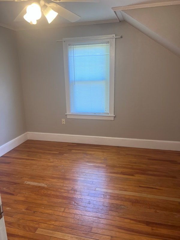 Building Photo - 360 Maple St