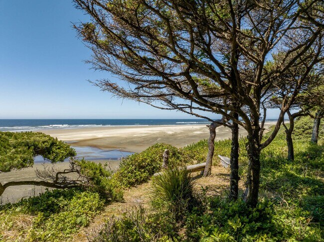 Building Photo - Beautiful Ocean Front Home in Seal Rock!