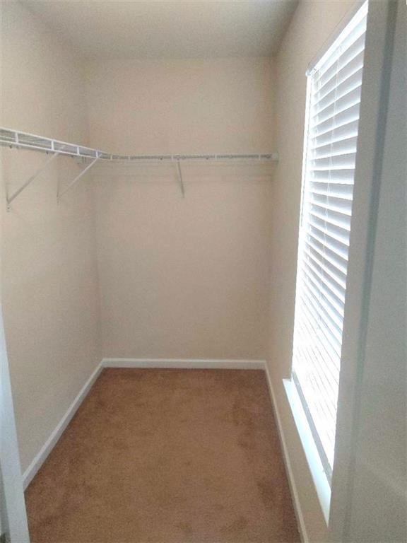 Building Photo - 7255 Rocking Horse Ln