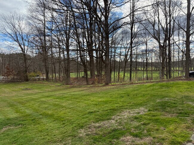 Building Photo - 141 Washington Rd