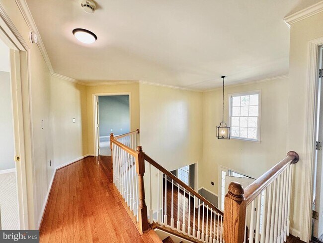 Building Photo - 28 Scotland Cir