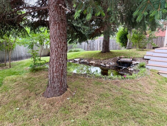 Building Photo - Park-like Yard, Updated Home