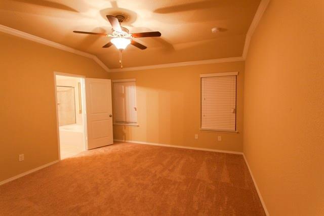 Building Photo - 1217 Nocona Dr