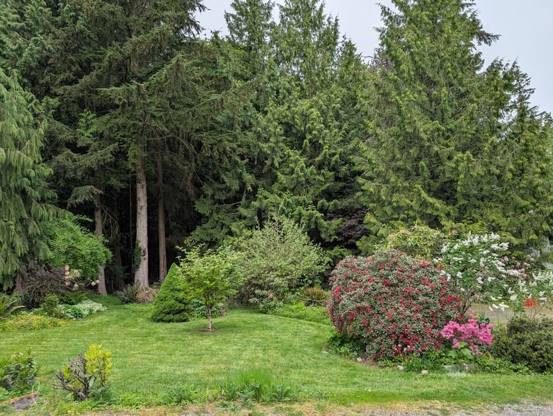 back yard - 2575 Yew Street Rd