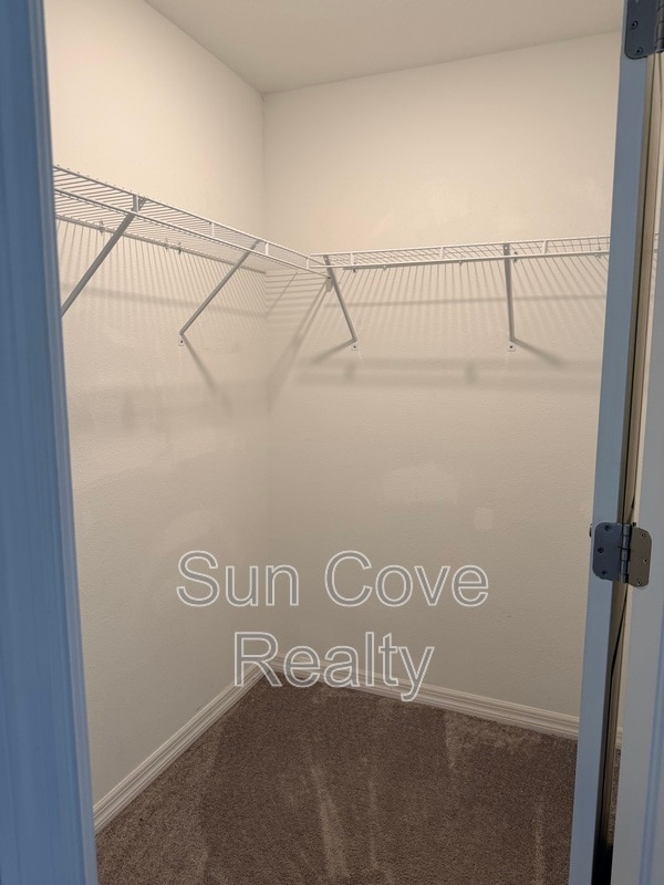 Building Photo - 10454 Shady Preserve Dr