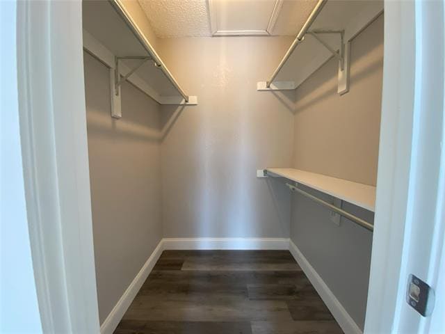 Building Photo - 1310 Harwell Dr