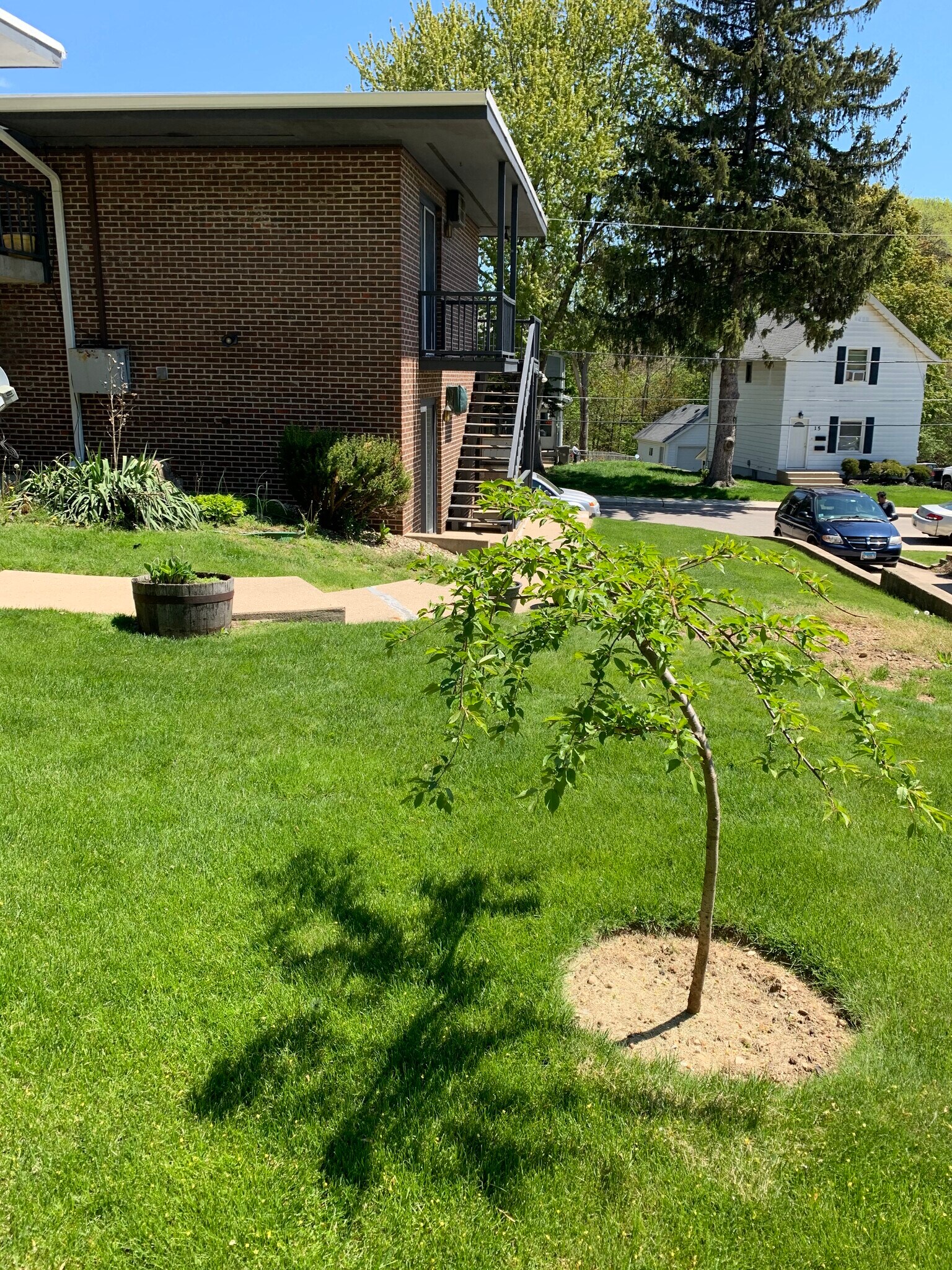 Building Photo - 24 Lynch St