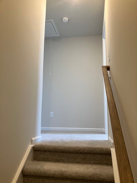 Building Photo - 1816 Bluejay Ln