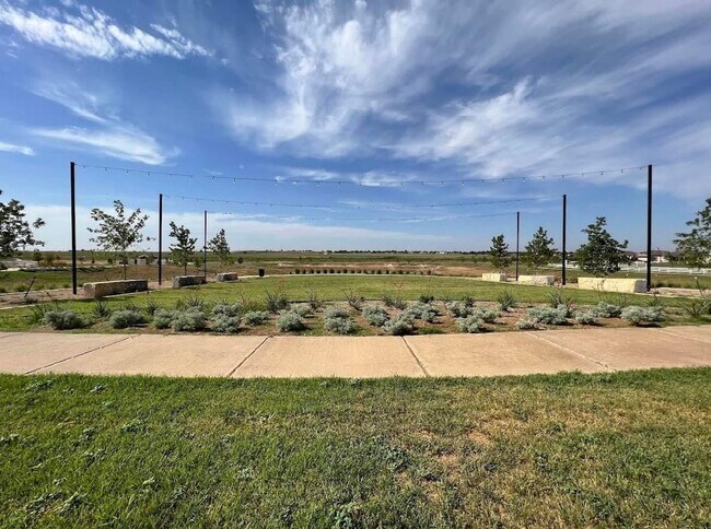 Building Photo - Wolfforth's newest community!