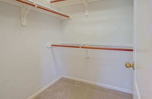 Building Photo - 1519 Mustang Crossing