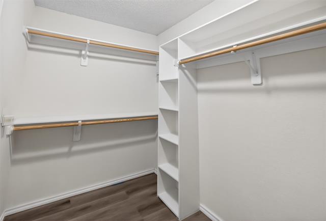 Building Photo - 1105 Hidden Glade Dr