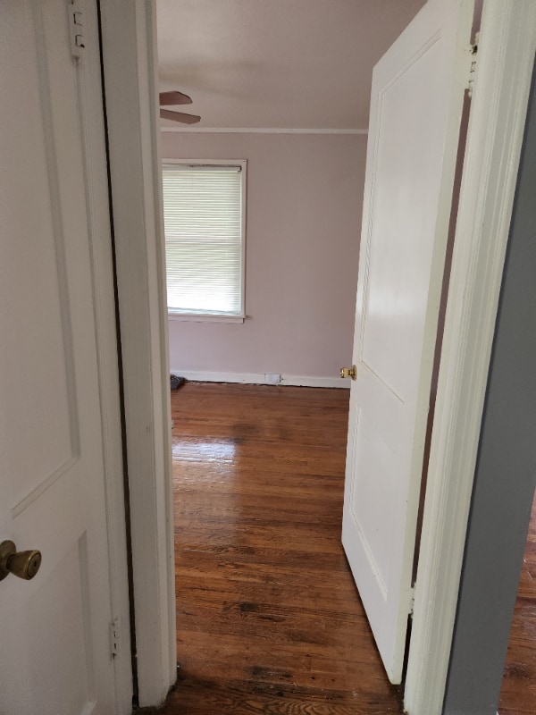 Building Photo - 4706 Roxie St