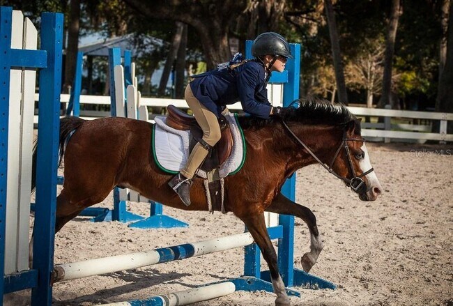 Building Photo - 3132 Santorini Ct