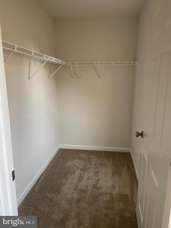 Building Photo - 306 Starry Way Dr