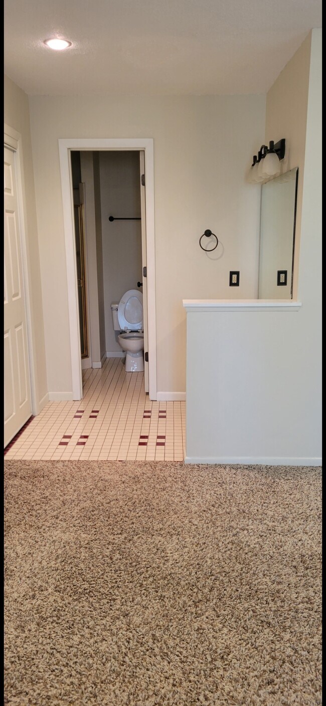 Master vanity - 2805 Ponca St