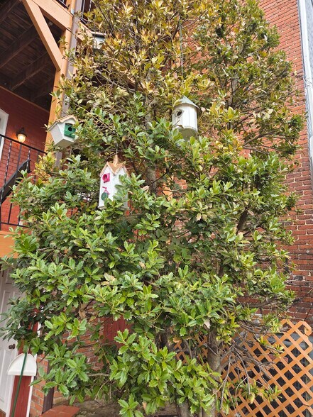 Building Photo - 1501 G St SE