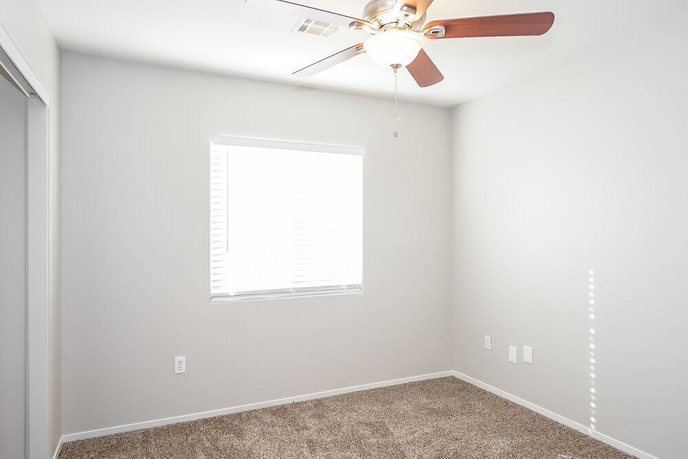 Building Photo - 245 Vertigo Tulip Ct