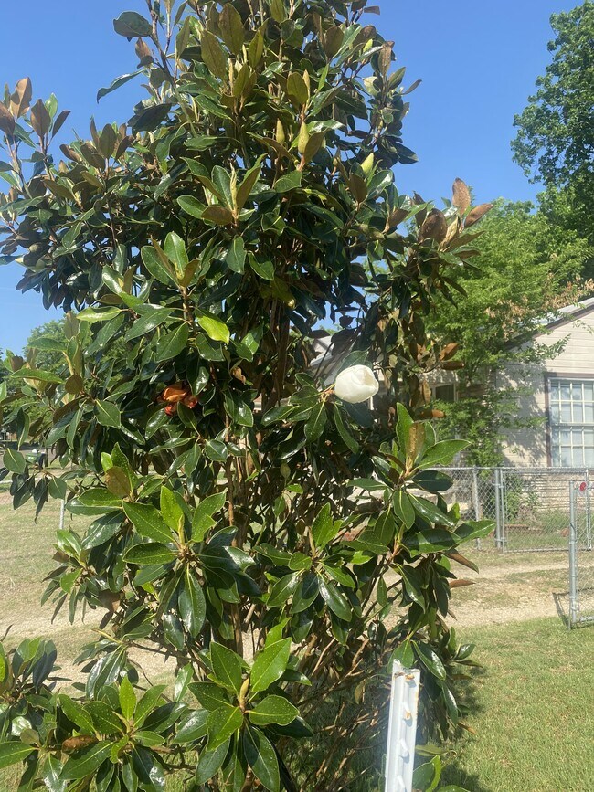 Building Photo - 2609 Herring Ave