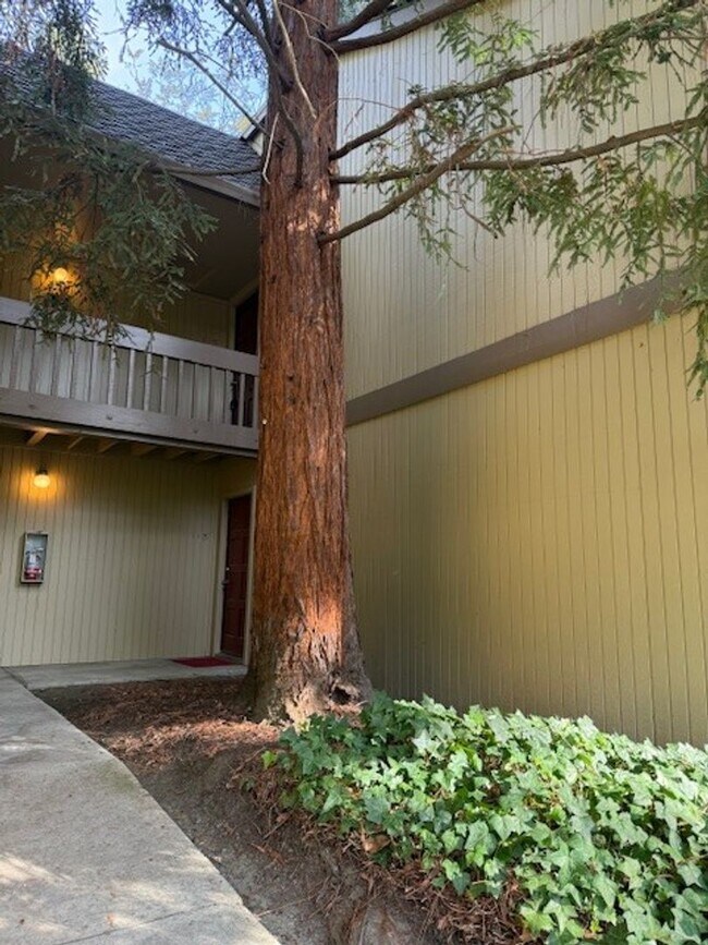 Building Photo - Spacious 1 Bedroom 1 Bath Upstairs Condo with a View