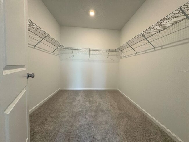 Building Photo - 3127 Mindfullness Dr