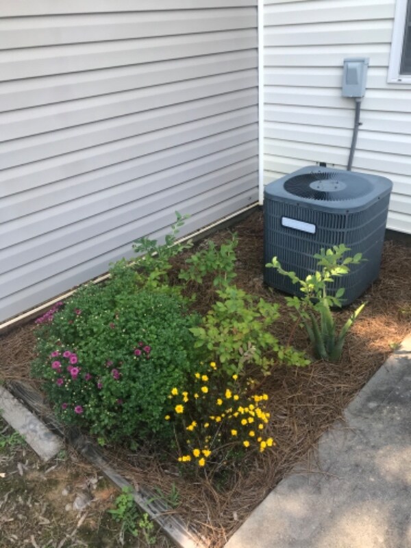 Building Photo - 10852 Holly Ridge Blvd