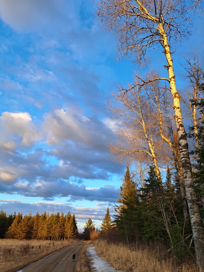 Building Photo - 9374 Alango Rd