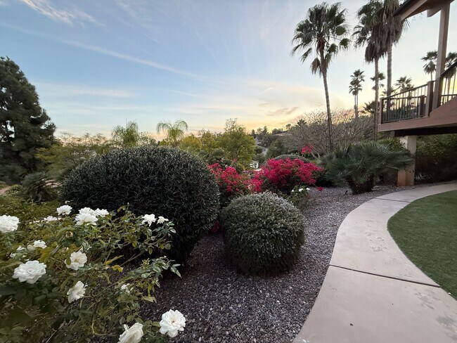 Building Photo - Ranch Bernardo Guest House 1br 1 bath granite kitchen All appliances Washer & Dryer  $2240 For Lease